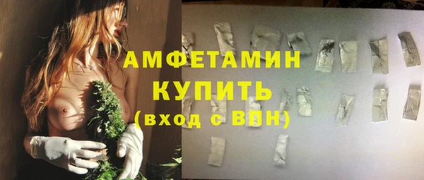 мдпв Богородицк