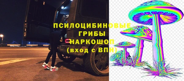мдпв Богородицк