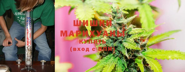 тгк Богданович