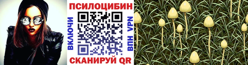 omg зеркало  дарнет шоп  Горячий Ключ  Галлюциногенные грибы мицелий 